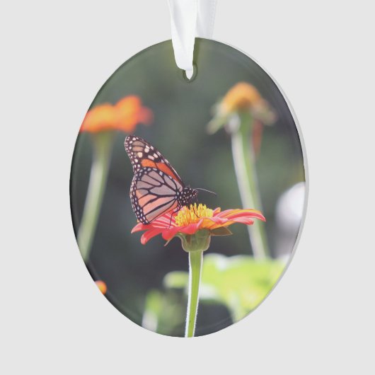 Butterfly Ornament (voorkant)