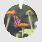 Butterfly Ornament (voorkant)