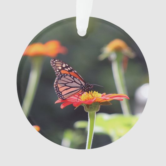 Butterfly Ornament (voorkant)