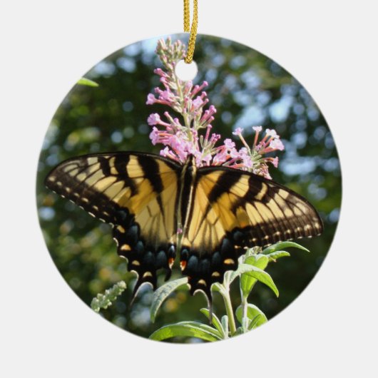 Butterfly Ornament (Voorkant)