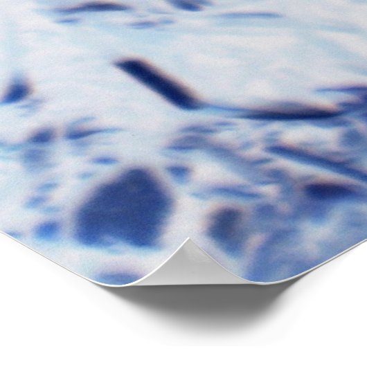 Butterfly Pansy Poster (Hoek)