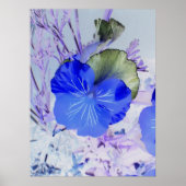 Butterfly Pansy Poster (Voorkant)