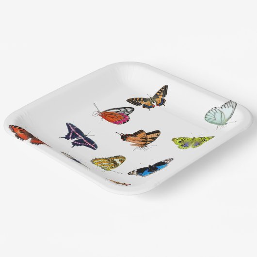 Butterfly Papieren Bordje (Gebogen)