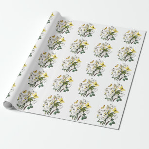 Butterfly Papillon Old Illustration Cadeaupapier