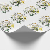  Butterfly Papillon Old Illustration Cadeaupapier (Hoek)