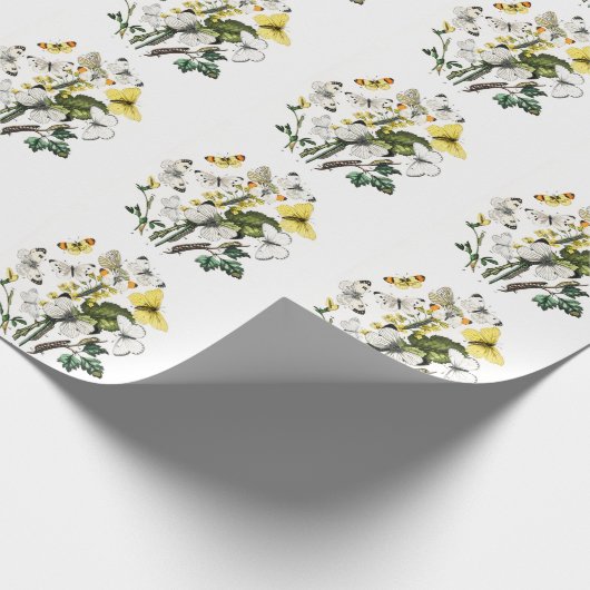  Butterfly Papillon Old Illustration Cadeaupapier (Hoek)