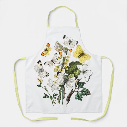  Butterfly Papillon Old Illustration Schort (Voorkant)