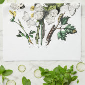 Butterfly Papillon Old Illustration Theedoek (Gevouwen)