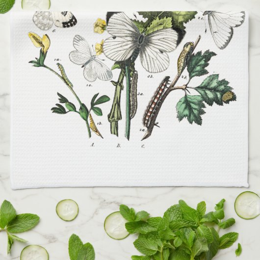 Butterfly Papillon Old Illustration Theedoek (Gevouwen)