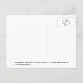 Butterfly Paradise Briefkaart (Achterkant)