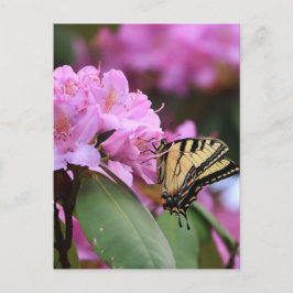 Butterfly Paradise Briefkaart