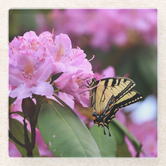 Butterfly Paradise Glazen Onderzetter (Voorkant)