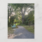 Butterfly Park 2 Briefkaart (Voorkant)