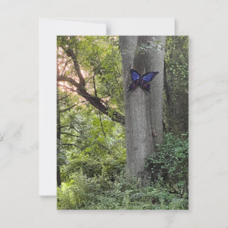 Butterfly Park Briefkaart
