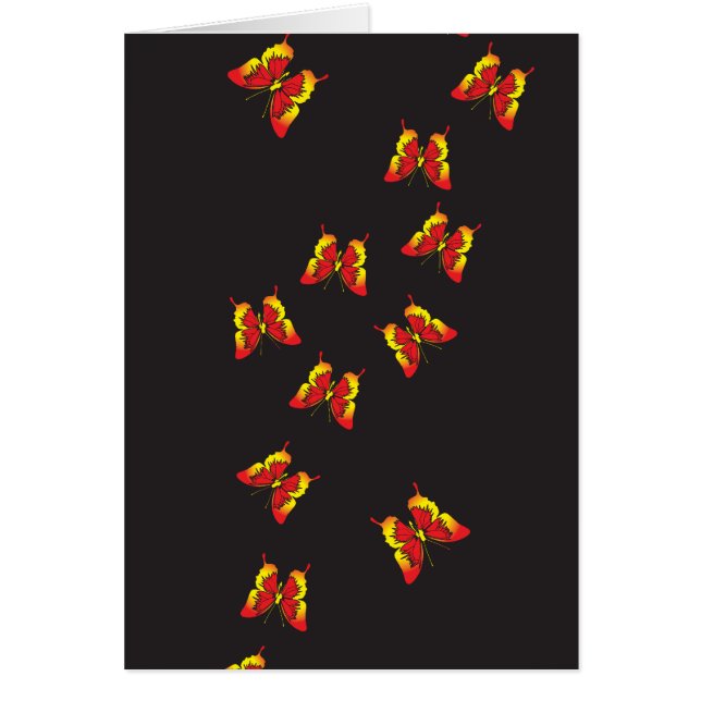 Butterfly Pattern (Voorkant)