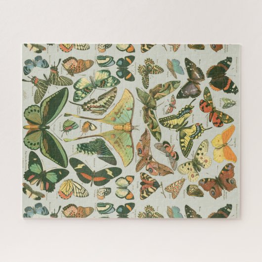 Butterfly  Pattern Butterflies Painting Legpuzzel (Horizontaal)