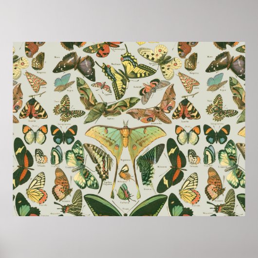 Butterfly Pattern Butterflies Painting Poster (Voorkant)