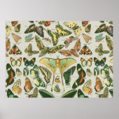 Butterfly Pattern Butterflies Painting Poster (Voorkant)