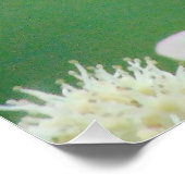 Butterfly Perfect Poster (Hoek)