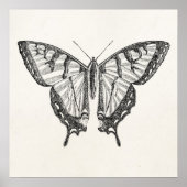  Butterfly persoonlijke Butterflies Insect Poster (Voorkant)