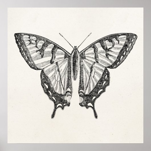  Butterfly persoonlijke Butterflies Insect Poster (Voorkant)