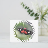 Butterfly Photo Design Briefkaart (Staand voorkant)