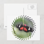 Butterfly Photo Design Briefkaart (Voorkant / Achterkant)
