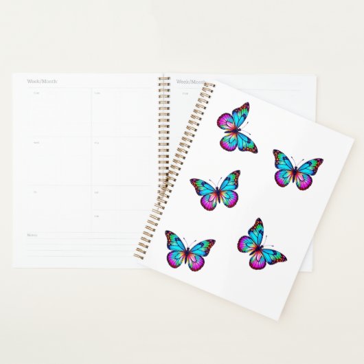 Butterfly Planner Wit (Display)