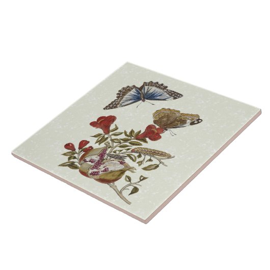 Butterfly Pomegranate Natural History Tile 6x6 Tegeltje (Zijkant)