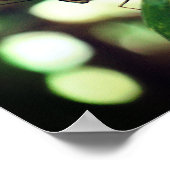 Butterfly Posing Close Poster (Hoek)