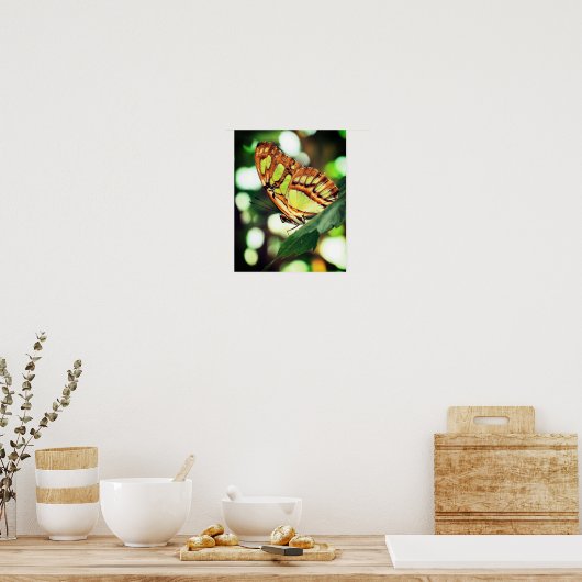 Butterfly Posing Close Poster (Keuken)