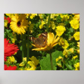 Butterfly Poster (Voorkant)