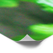 Butterfly Poster (Hoek)