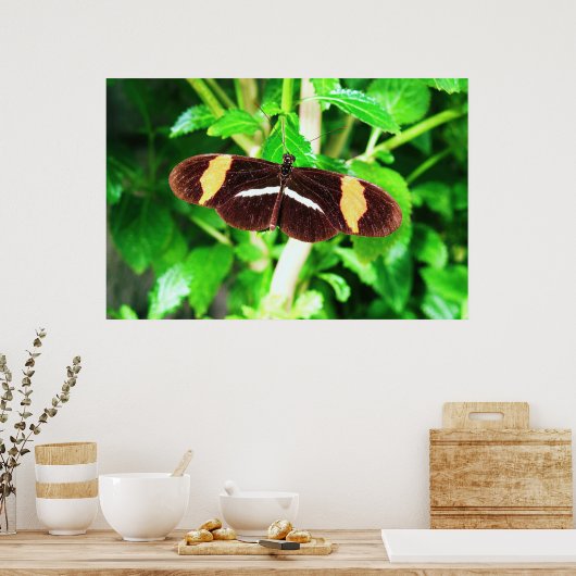 Butterfly Poster (Keuken)