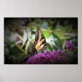 Butterfly Poster (Voorkant)