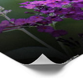 Butterfly Poster (Hoek)