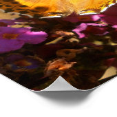 Butterfly. Poster (Hoek)