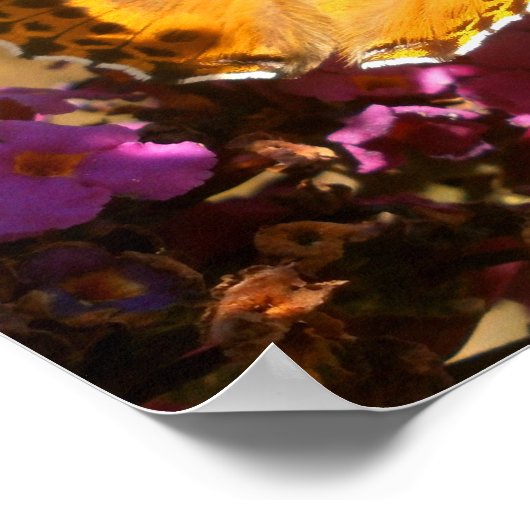 Butterfly. Poster (Hoek)