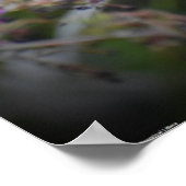 Butterfly Poster (Hoek)