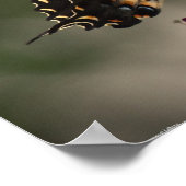 Butterfly Poster (Hoek)