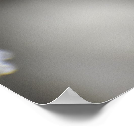 Butterfly Poster (Hoek)