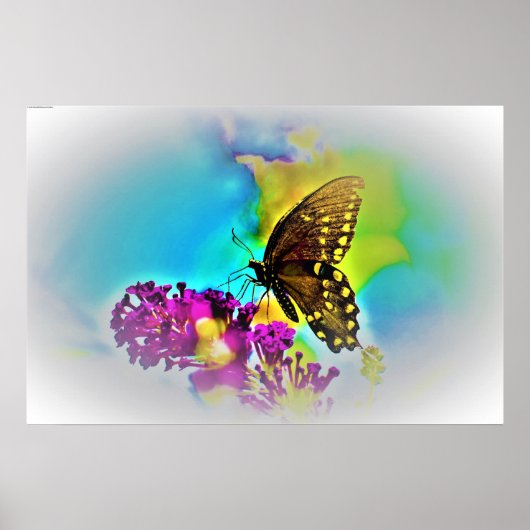 Butterfly Poster (Voorkant)