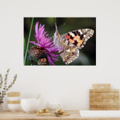 Butterfly Poster (Keuken)