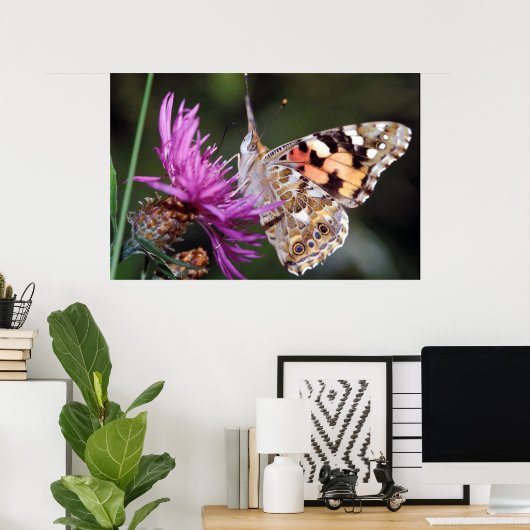 Butterfly Poster (Thuiskantoor)
