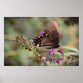 Butterfly Poster (Voorkant)