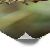 Butterfly Poster (Hoek)