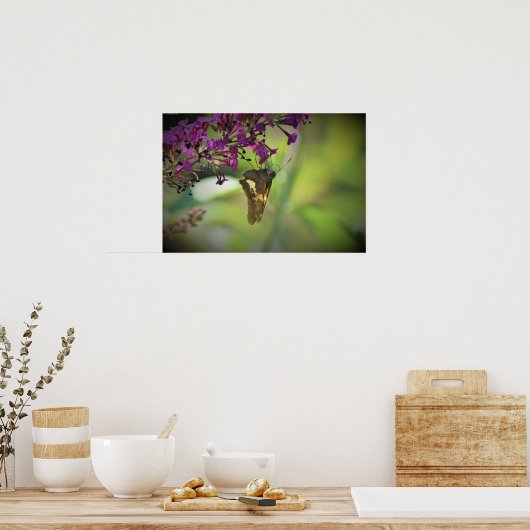 Butterfly Poster (Keuken)