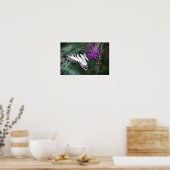 Butterfly Poster (Keuken)