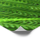 Butterfly Poster (Hoek)