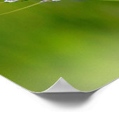 Butterfly Poster (Hoek)